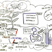 Facilitation graphique de la table ronde "Au-delà de l'Agilité, la culture", conférence Agile Tour Toulouse, 2013 par @RomainCouturier, www.terredagile.com - par <a href="http://www.fgcp.net/Romain Couturier">Romain  Couturier</a>