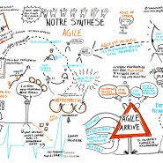 Facilitation graphique communauté de pratique agile, 2015, par @RomainCouturier, www.terredagile.com - par <a href="http://www.fgcp.net/Romain Couturier">Romain  Couturier</a>