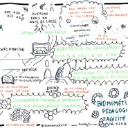 Sketchnote conférence plénière de Christian_Den_Hartigh à la conférence Mix-IT, 2016, par @RomainCouturier, www.terredagile.com - par <a href="http://www.fgcp.net/Romain Couturier">Romain  Couturier</a>