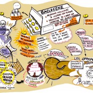 graphic recording: 1h présentation d'un projet par un entrepreneur - par <a href="http://www.fgcp.net/Delphine Baudu">Delphine  Baudu</a>